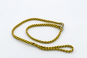 Slip leads from Fynes Pet Products